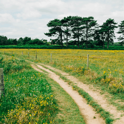 Make morning walks through the surrounding meadows the new routine