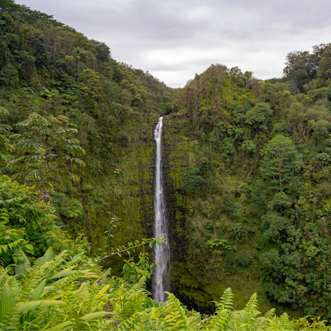 Head deeper into nature at Hawaiʻi Volcanoes National Park
