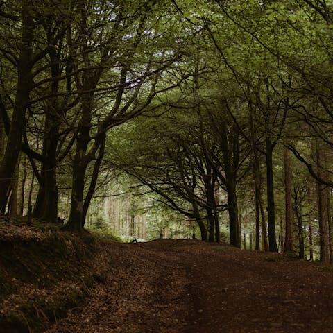 Explore the beautiful countryside surrounding Taunton