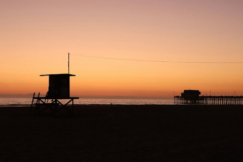 Board daily whale watching and deep-sea fishing charters from the iconic Balboa Pavilion