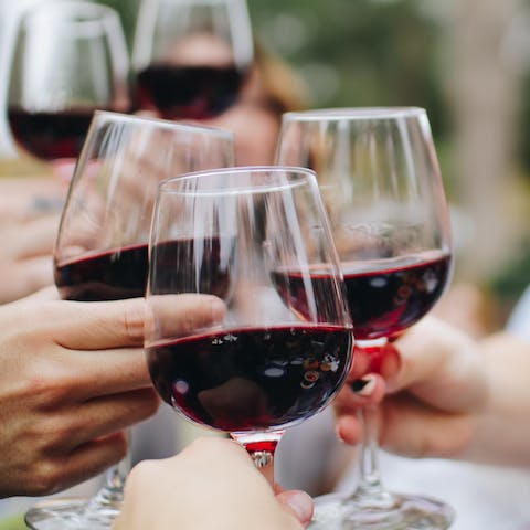 Sample some of France's finest wines on a tour of the local vineyards