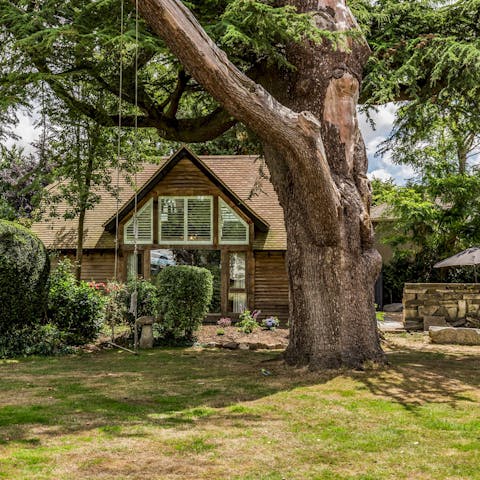 Discover a sanctuary nestled amongst the trees of Chichester