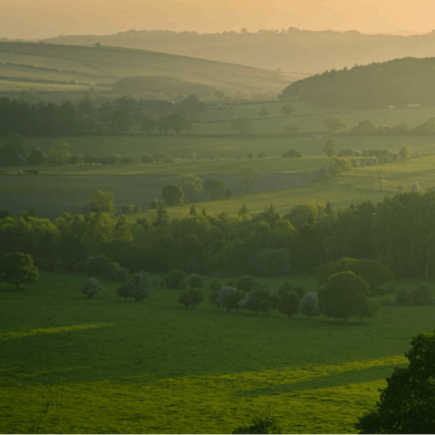 Take advantage of all the country walks available in the High Weald AONB