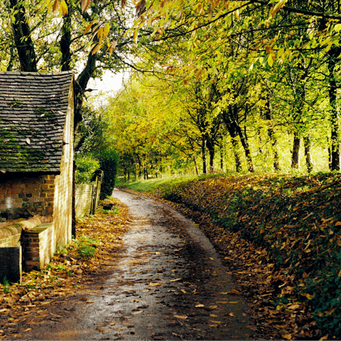 Put on your hiking boots and explore the Hampshire countryside