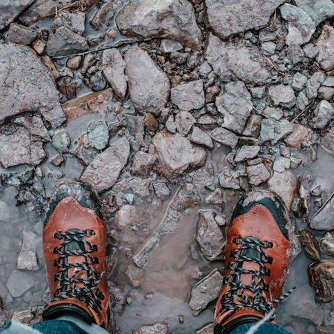 Put on your boots and explore the water lagoons, marshland, and woodlands of Benacre National Nature Reserve