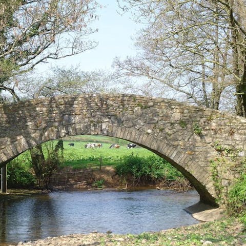 Discover the weir pool and bluebell woods along the fringing footpaths
