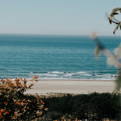 Enjoy blissful days on the oceanfront in Solana Beach
