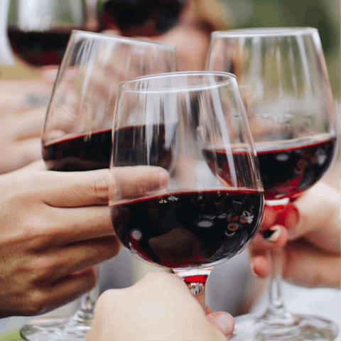 Enjoy the complimentary bottle of wine from your host upon arrival