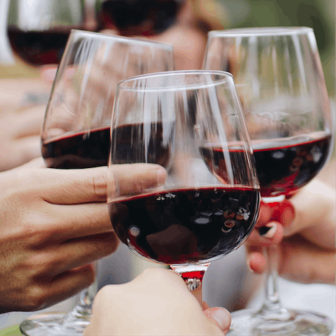 Enjoy the complimentary bottle of wine from your host upon arrival