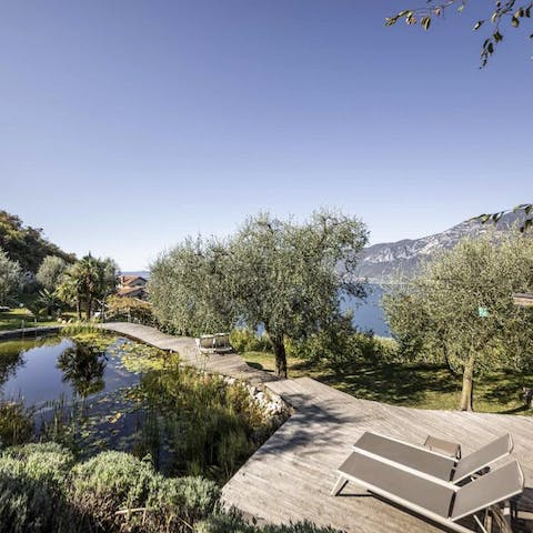 Cool down in the fresh-water swimming pond