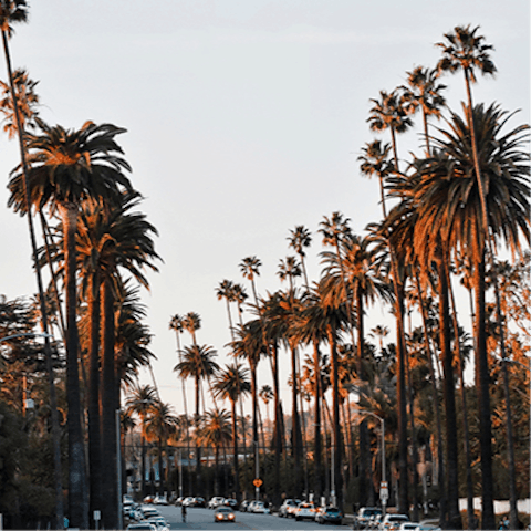 Experience the luxury, culture and history on offer in Beverly Hills