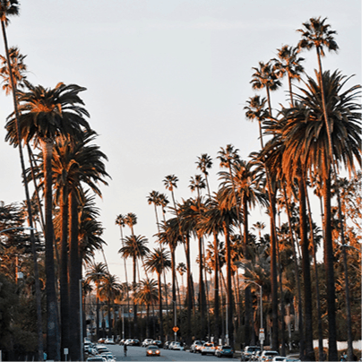 Experience the luxury, culture and history on offer in Beverly Hills