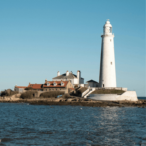 Take a walk to see St Mary's Lighthouse located close by