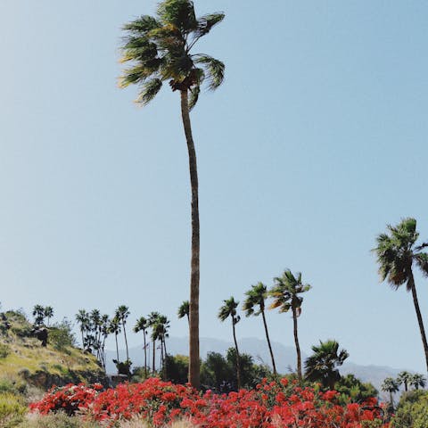 Explore the attractions of Downtown Palm Springs, a five-minute drive away