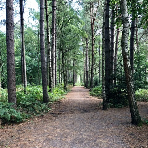 Hit the hiking and bikings trails of South Downs National Park, a five-minute drive