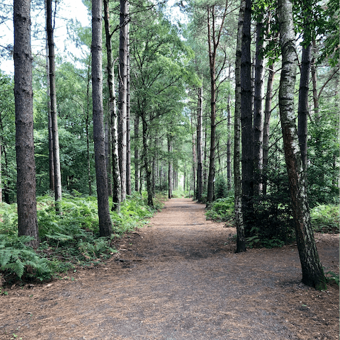 Hit the hiking and bikings trails of South Downs National Park, a five-minute drive