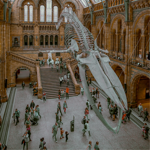 Hop on the Tube to the Natural History Museum, just a few minutes away