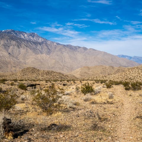 Take a hike through the Indian Canyons, a short drive away
