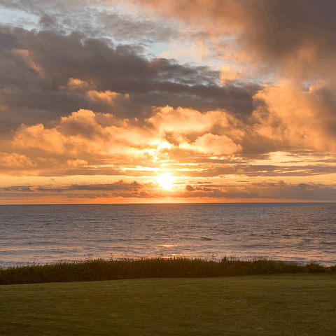 Spend afternoons at nearby sandy Widemouth Bay Beach