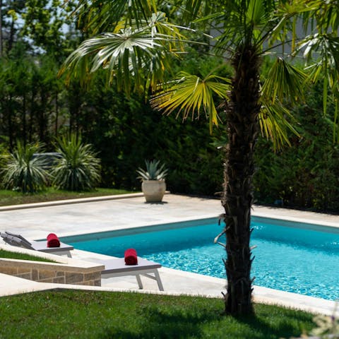 Look forward to lounging beside the sunny swimming pool