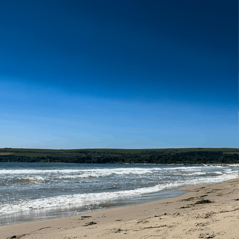 Drive to beautiful Studland Bay for a beach day