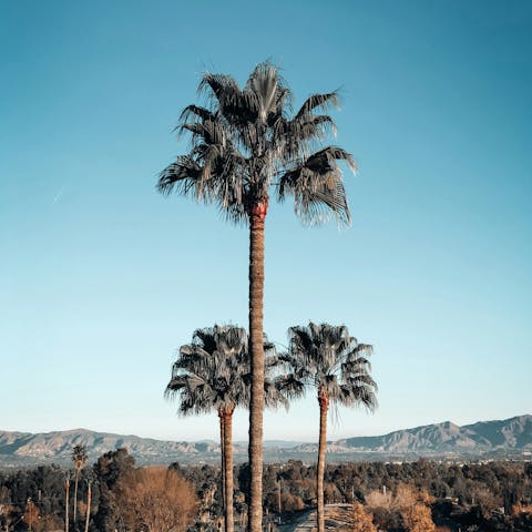Experience the magic of LA living from Tarzana