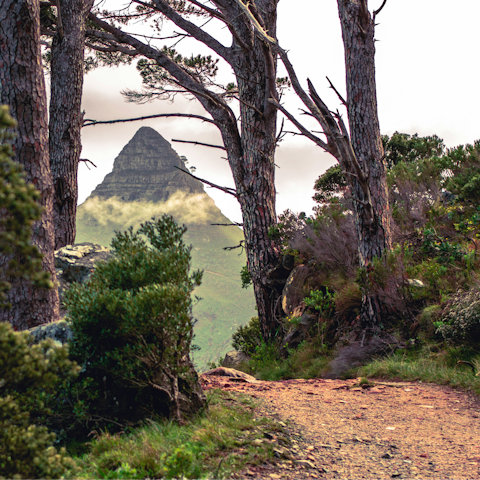 Hike the Lion's Head trail, a short drive away