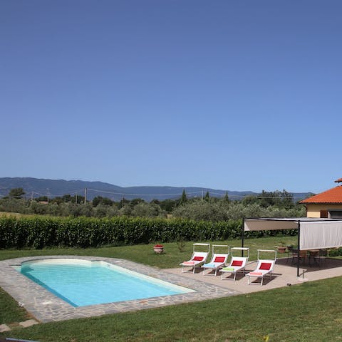 Immerse yourself in the green landscapes with a dip in the private pool