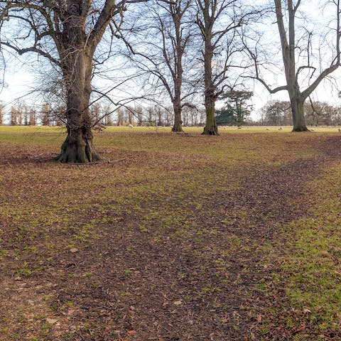 Head out on an autumnal stroll through the surrounding Turvey Estate