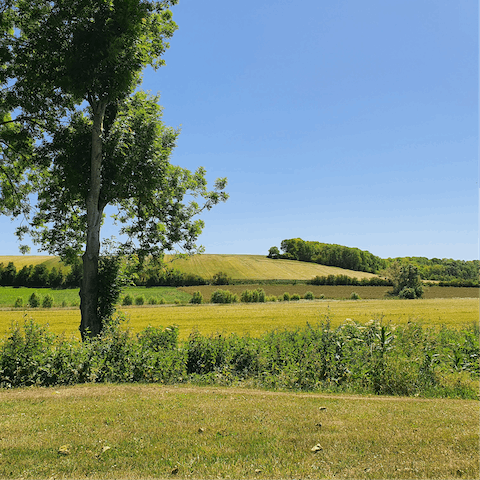 Explore the gorgeous Natural Regional Park of the Ariège Pyrénées, right on your doorstep