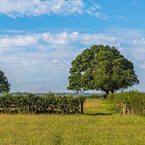 Explore the beautiful county of Wiltshire – Salisbury is just a twenty-five-minute drive away