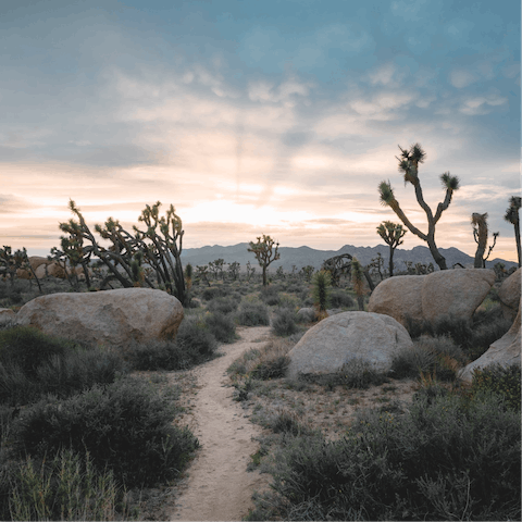 Explore the wild and psychedelic landscape of Joshua Tree National Park, just a twenty-five minute drive away
