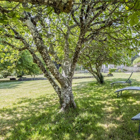 Explore over 3 hectares of parkland filled with ancient trees