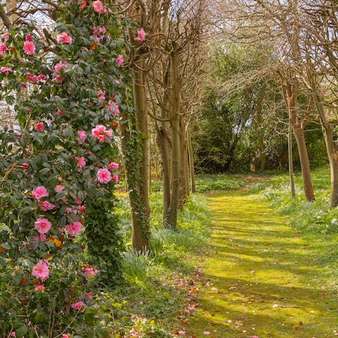 Take a stroll into the woods surrounding the home