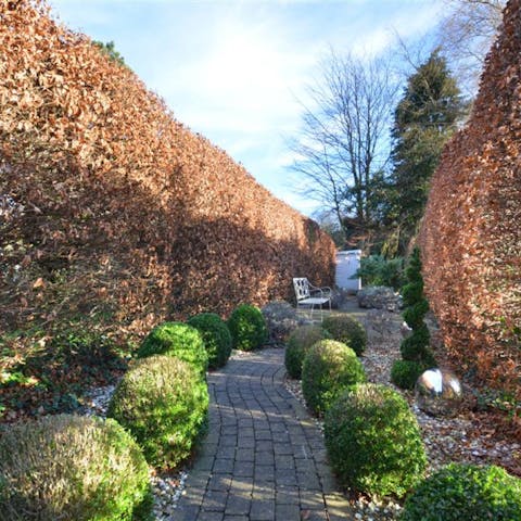 Follow the brick path down the garden to the bench for a moment's quiet