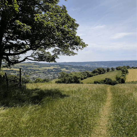 Explore Somerset, including its countryside and pretty towns like nearby Ilminster