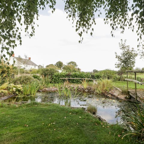 Have a picnic by the pond in the owner's garden