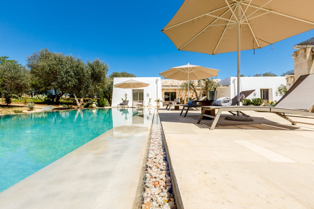 The Serenity of Sunlight