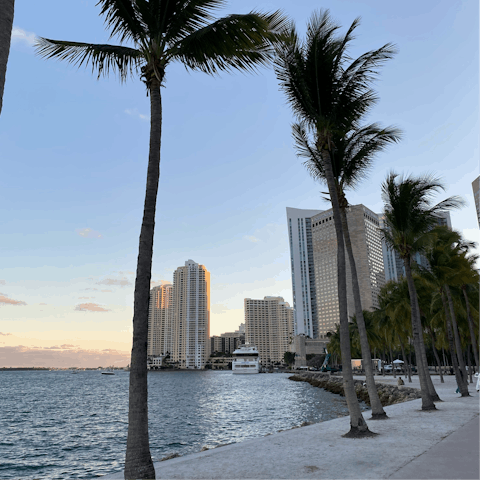Explore between the high rises of Downtown Miami