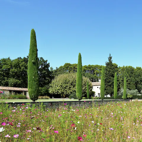 Walk in the magnificent gardens