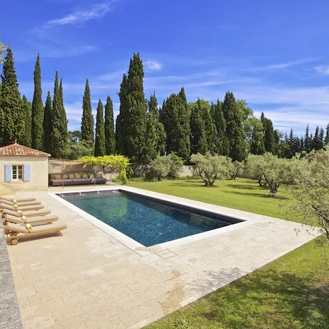 Admire the views of the garden from the pool