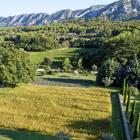Saunter in the Alpilles Natural Regional Park