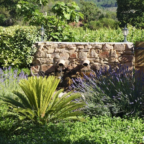 Stroll around the stunning gardens