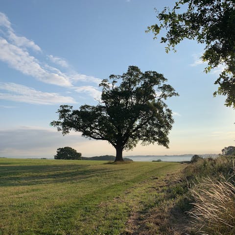 Hike in the Shropshire Hills Area of Outstanding Natural Beauty