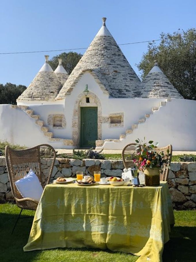 Among the Olive & Orange Trees