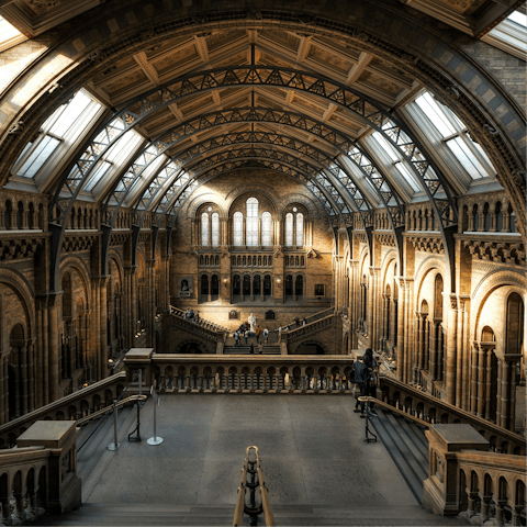 Spend an inspiring afternoon exploring the Natural History Museum