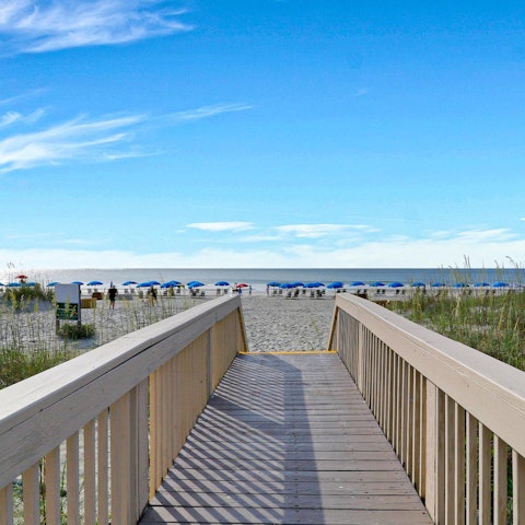 Wander over to Hilton Head Beach, a short walk away