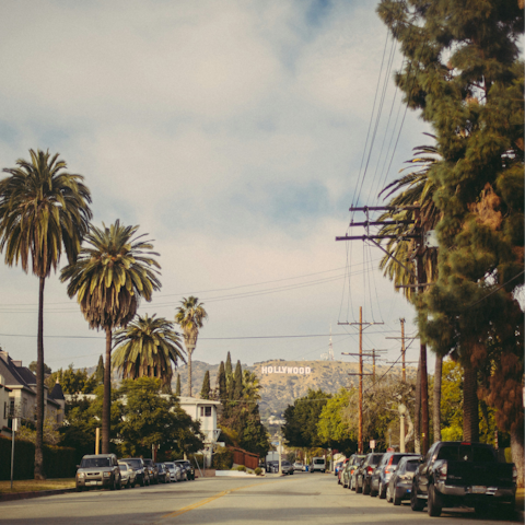 Drive into nearby Beverly Hills for a shopping afternoon