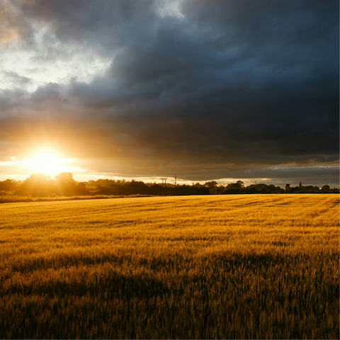 Treat yourself to a relaxing retreat in the Thirsk countryside