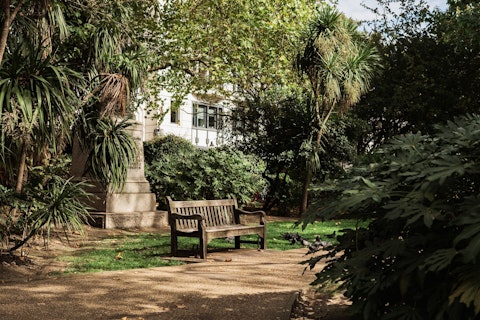 Wander Chelsea Physic Garden, just seven minutes away on foot